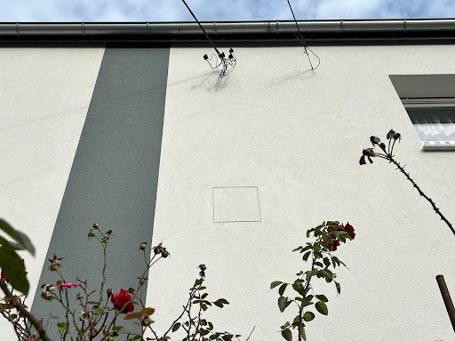 Photo from customer review